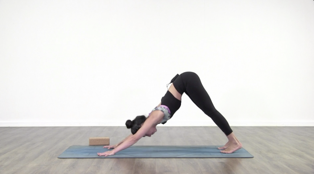 Let's Plank_2
