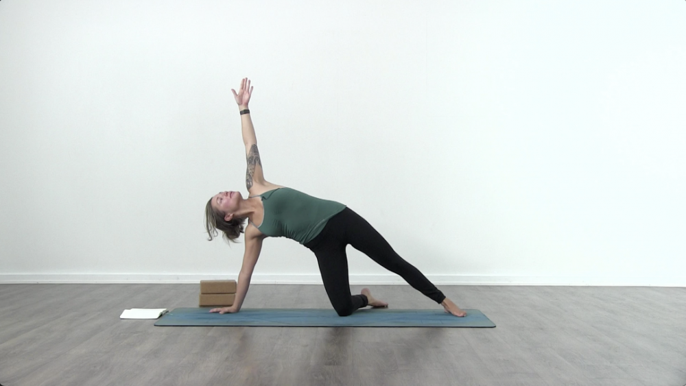 Hands, Wrists, Core_1