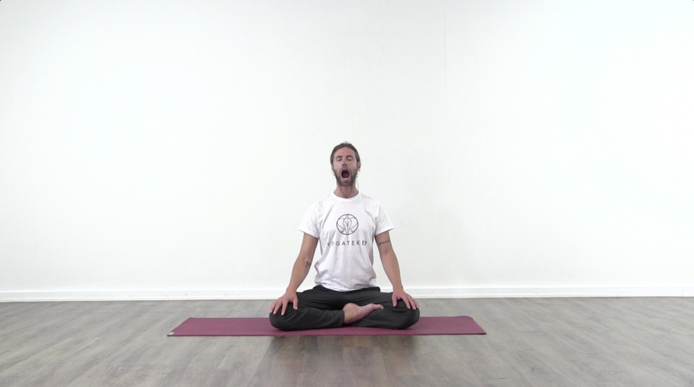 Yoga for the Face_0