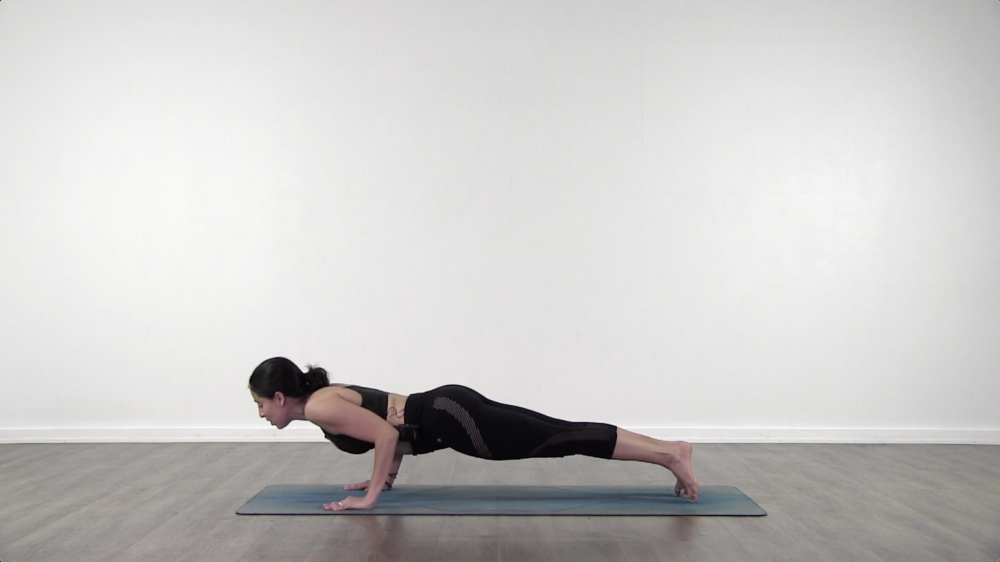 Plank to Chaturanga_1