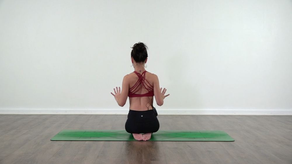 Short Chaturanga Tutorial_1