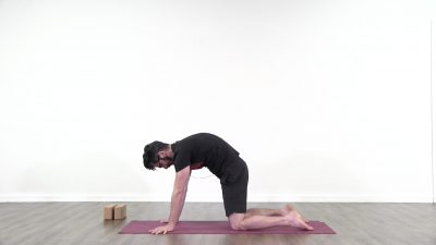screenshot from online yoga class with Daniel Scott at Yogateket yoga studio in Uppsala Sweden