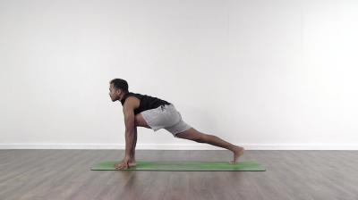 vinay jesta yoga five elements