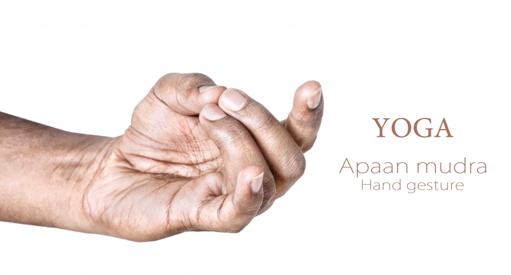 apaan mudras