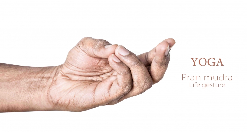 Prana Mudra life gesture mudra